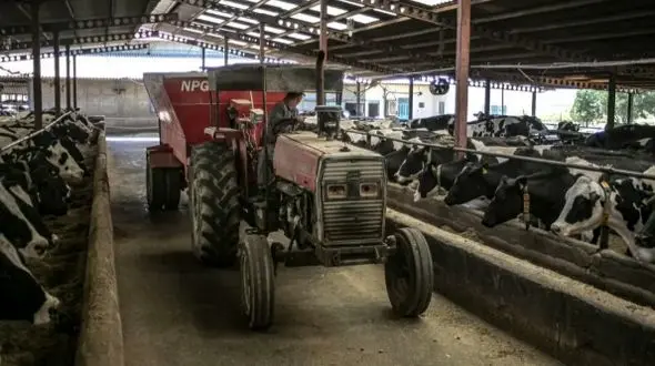 مرگ دلخراش کارگر دامداری در اراک بر اثر تصادف با تراکتور