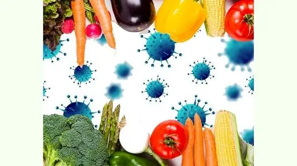 در سرما برای مبارزه با کرونا چه بخوریم؟