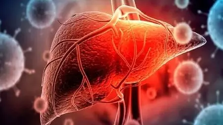 بررسی علمی علت بالا رفتن آنزیم‌ های کبدی و علائم مرتبط + پرسش و پاسخ