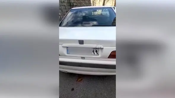 فیلم شگرد عجیب تبهکاران برای جعل پلاک خودرو / بعد از سرقت پلاک خودرو چه باید کرد؟