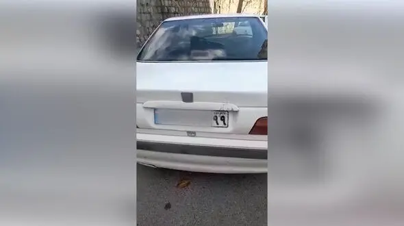 فیلم شگرد عجیب تبهکاران برای جعل پلاک خودرو / بعد از سرقت پلاک خودرو چه باید کرد؟