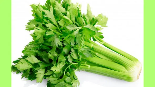 سبزی شگفت انگیزی که قند و فشار خونتان را کنترل می‌کند!