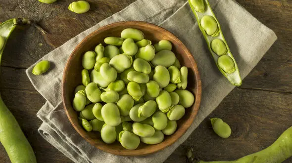 خواص جادویی باقلا سبز