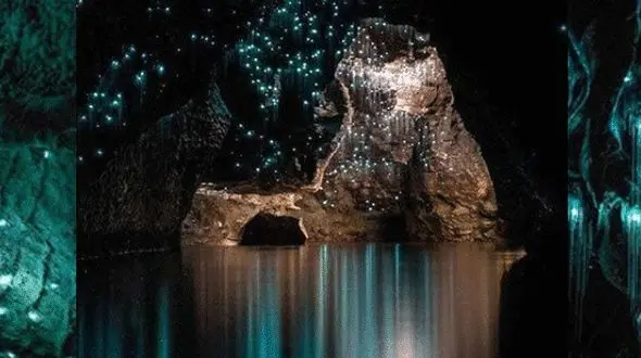 غارهای درخشان و کهکشانی؛ جاذبه گردشگری نیوزلند +تصاویر