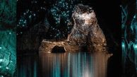 غارهای درخشان و کهکشانی؛ جاذبه گردشگری نیوزلند +تصاویر