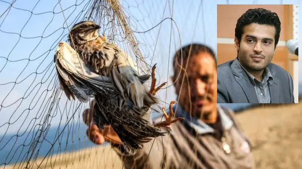 روزشمار رسیدن به تاریخ کشتار پرندگان/ مجوزهای شکار، سرشماری پرندگان را نابود و تخلفات را افزایش می‌دهد!