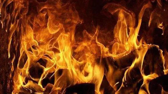 زنده زنده سوختن گاو ها در اسفراین ! / همه را سربریدند