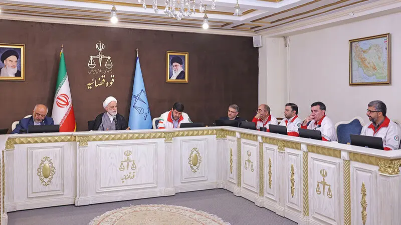 حجت‌الاسلام والمسلمین محسنی اژه‌ای ، طی سخنانی در دیدار با رئیس و جمعی از معاونین جمعیت هلال احمر