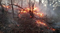 باد شدید آتش جنگل‌های گلستان را شعله‌ور کرد