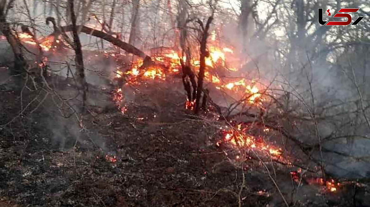 باد شدید آتش جنگل‌های گلستان را شعله‌ور کرد