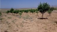 کاهش محصولات باغی در استان لرستان 				 			