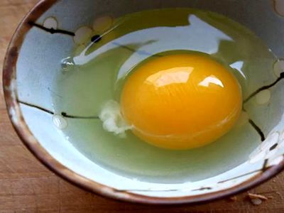 تشخیص تخم مرغ خراب: راهنمای کامل و گام‌ به‌ گام