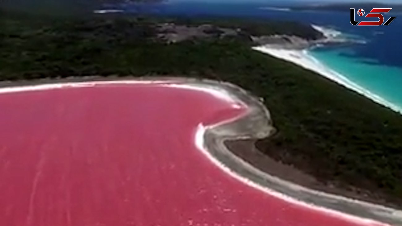 عجیب ترین دریاچه جهان با رنگ صورتی! + فیلم