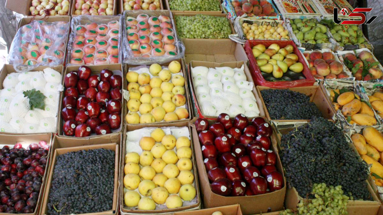 صادرات پنج هزار و ۵۰ تن میوه  به روسیه / چه اقلامی که به روسیه صادر می شود؟