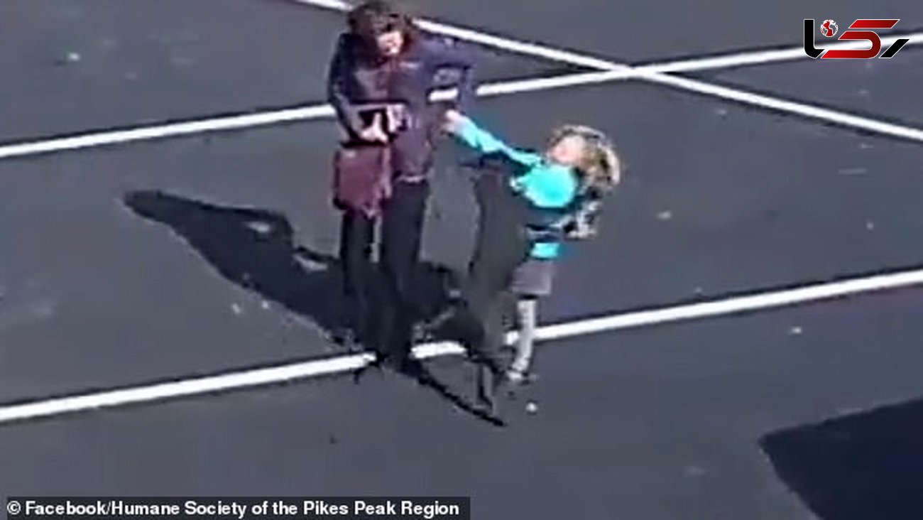 فیلم وحشتناک از لحظه حمله یک سگ به دختربچه 5 ساله