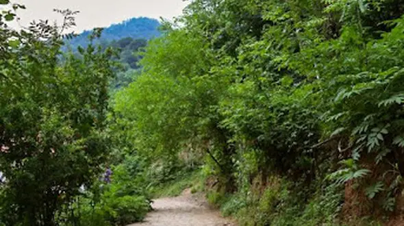 از شهرستان شفت تا آبشار زیبای لورگاه کوهرنگ