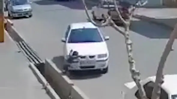 فیلم تکاندهنده / زنده ماندن نوجوان شهریاری از بلای یک زن جوان