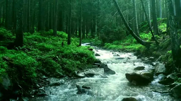 نماهنگ آرامش بخش  با نوازندگی مرحوم استاد ناصر چشم آذر + فیلم