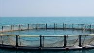 بهره برداری از قفس‌های پرورش ماهیان دریایی در خوزستان