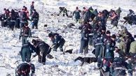 کشف بقایای جسد تکه تکه شده قربانیان سقوط هواپیما در روسیه + عکس 