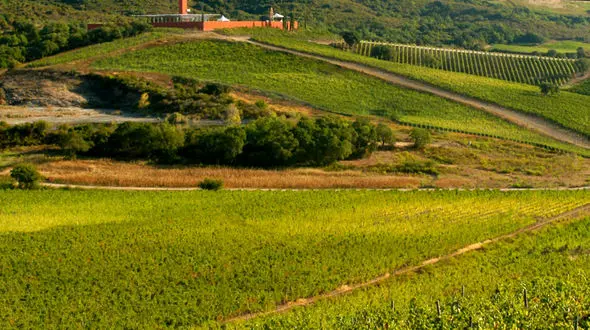  نمایی از میدان نقش جهان از ایوان عالی قاپو 