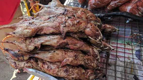 پذیرایی از مهمان ها با موش کباب شده ! + تصاویر