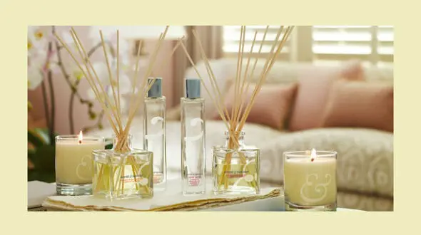  یک روش طبیعی برای خوشبو کردن فضای اتاق + عکس 