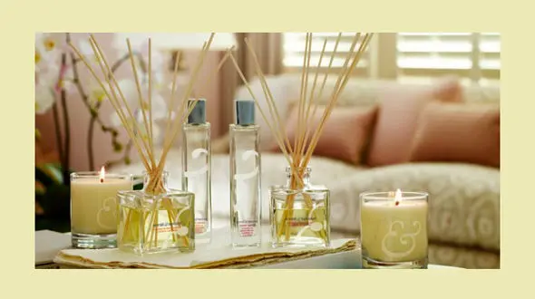  یک روش طبیعی برای خوشبو کردن فضای اتاق + عکس 