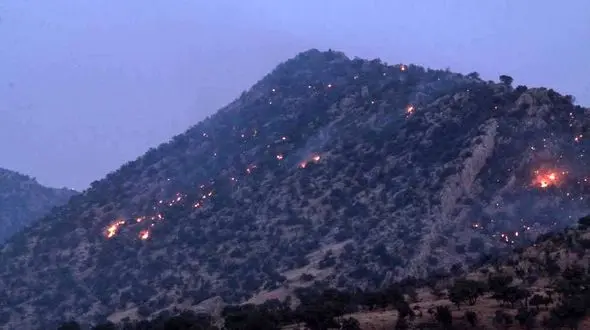 سرهنگ عباس نژاد: آتش سوزی جنگل های زاگرس در سه استان کشور / عدم تخصیص بودجه لازم برای اطفای حریق در سال 1400+ فیلم