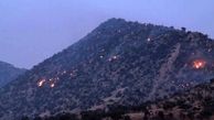 سرهنگ عباس نژاد: آتش سوزی جنگل های زاگرس در سه استان کشور / عدم تخصیص بودجه لازم برای اطفای حریق در سال 1400+ فیلم