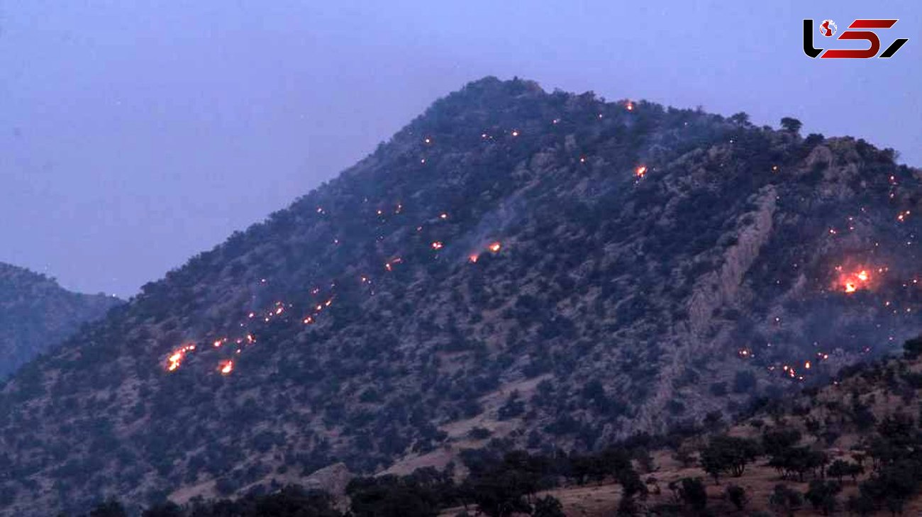 سرهنگ عباس نژاد: آتش سوزی جنگل های زاگرس در سه استان کشور / عدم تخصیص بودجه لازم برای اطفای حریق در سال 1400+ فیلم