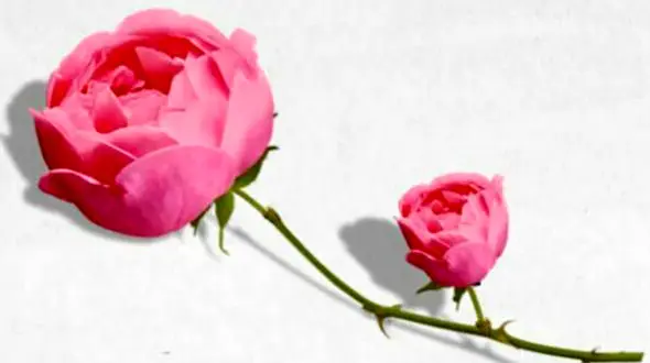 فال ابجد امروز / 7 مهر + فیلم