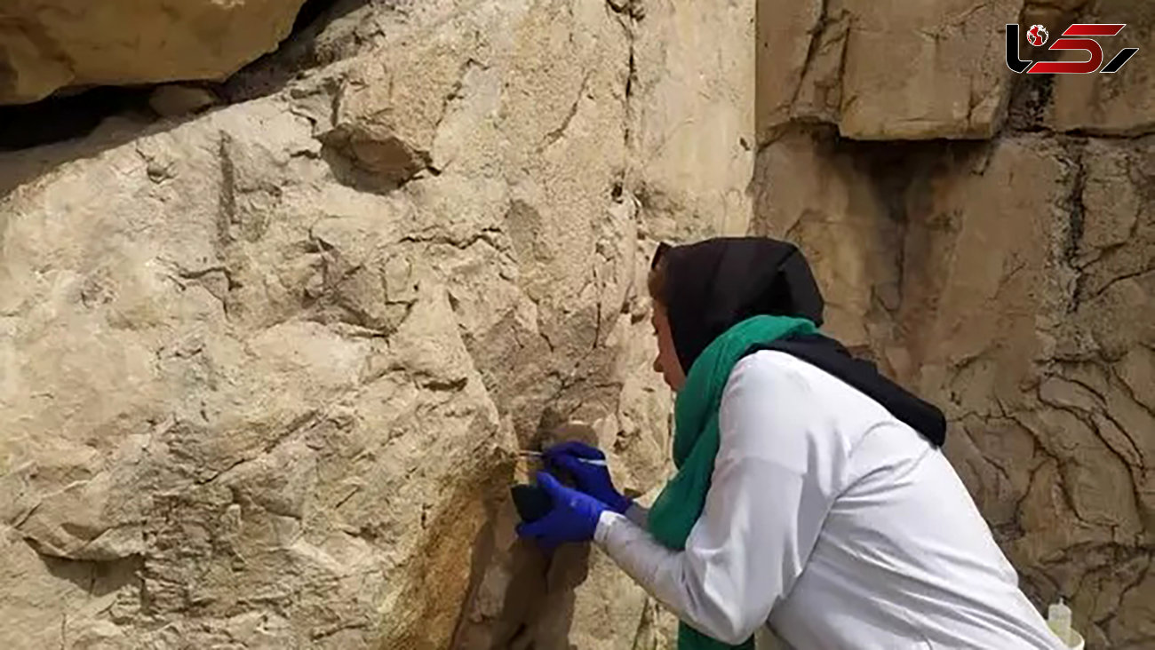 ماجرای کشف کتیبه های تاریخی در تخت جمشید + عکس