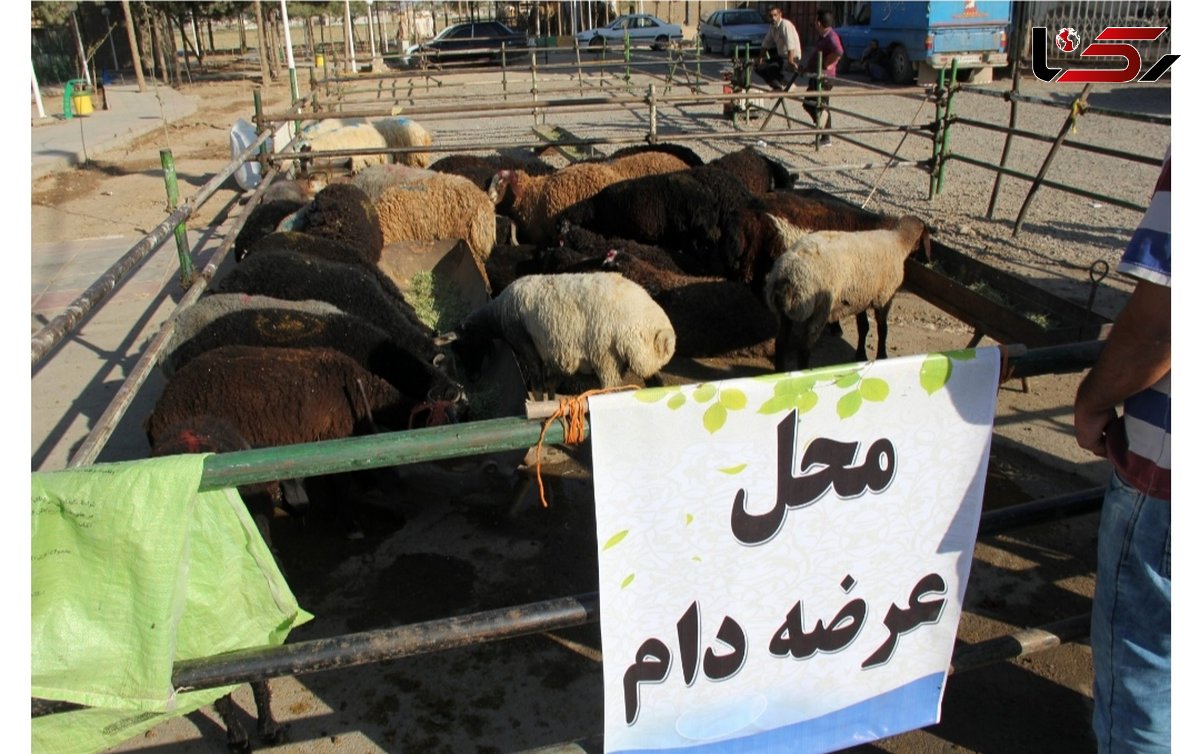  جایگاه عرضه دام زنده به مناسبت عید قربان مستقر می‌شود