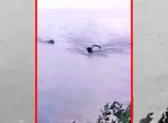 فیلم لحظات ترسناک حمله تمساح به انسان