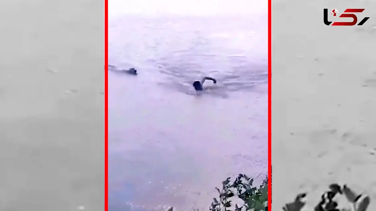 فیلم لحظات ترسناک حمله تمساح به انسان