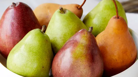 10 پاکبان معده معرفی شدند