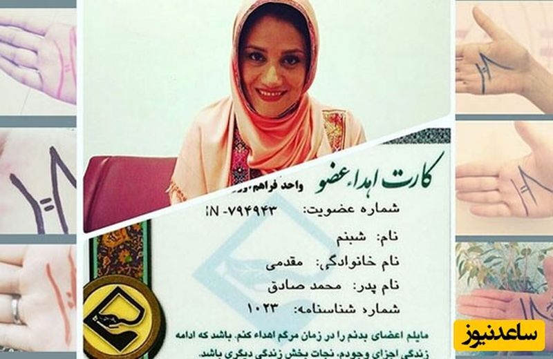 هنرمند