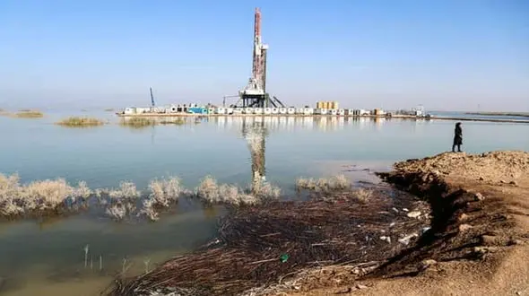 خدابخشی: دیگر تالابی به نام "هورالعظیم" وجود ندارد / نرسیدن آب به مخزن شماره سه، علت تشنگی گاومیش های هورالعظیم 