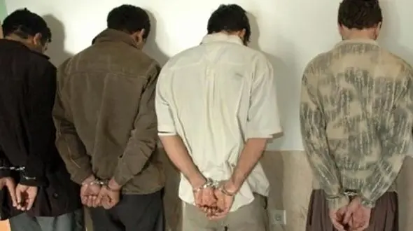 بازداشت سارقان باغ‌های ارژن