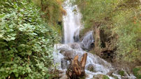 ببینید / نماهنگ شاد و بی کلام و گشتی در طبیعت زیبای 