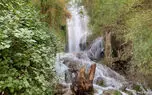 ببینید / نماهنگ شاد و بی کلام و گشتی در طبیعت زیبای "کوهمره سرخی" + فیلم 