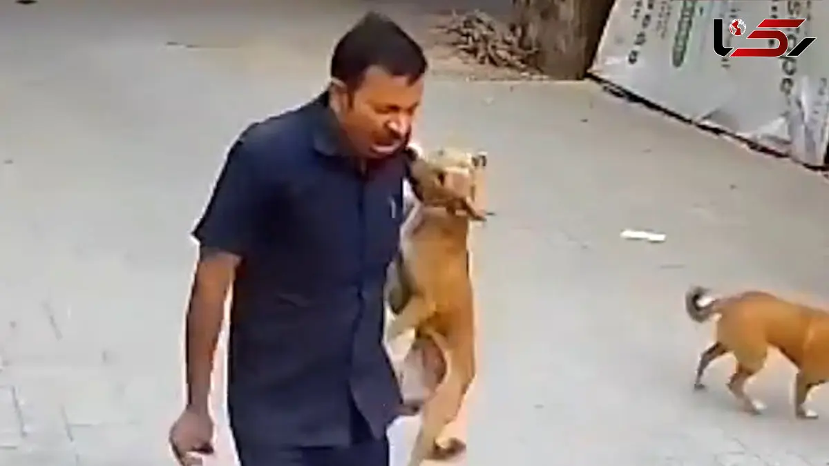 فیلم حمله وحشیانه سگ به شهروند هندی