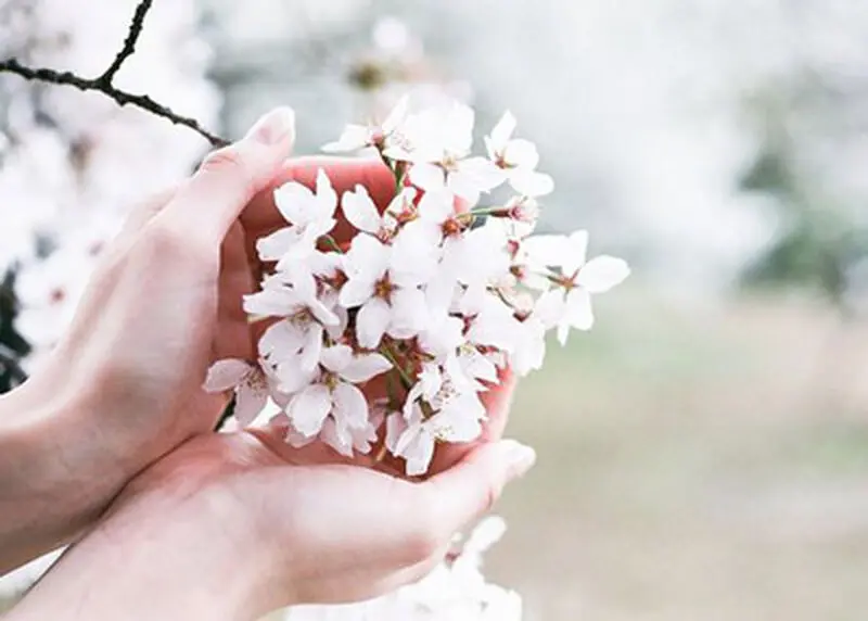 عکس پروفایل دخترانه