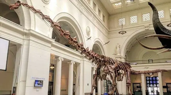  قدیمی‌ترین دایناسور کره زمین + عکس