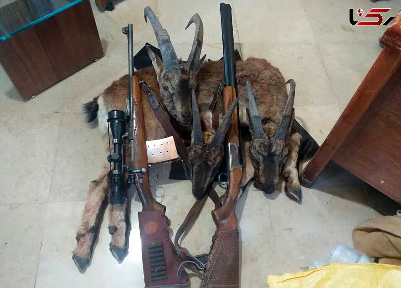 دستگیری ۳ شکارچی متخلف در منطقه حفاظت شده سهند