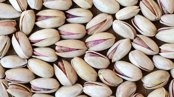 سهم ایران از بازار پسته اروپا مشخص شد