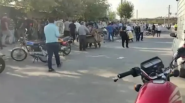 ولوله کرونا در "خلازیر" همزمان با طغیان کووید 19 + فیلم