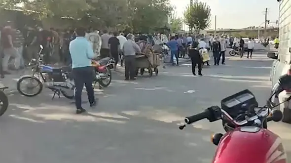 ولوله کرونا در "خلازیر" همزمان با طغیان کووید 19 + فیلم