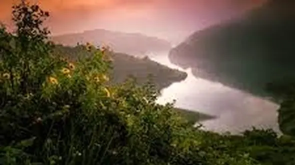 از جنگل ابر شاهرود تا جنگل مازیچال